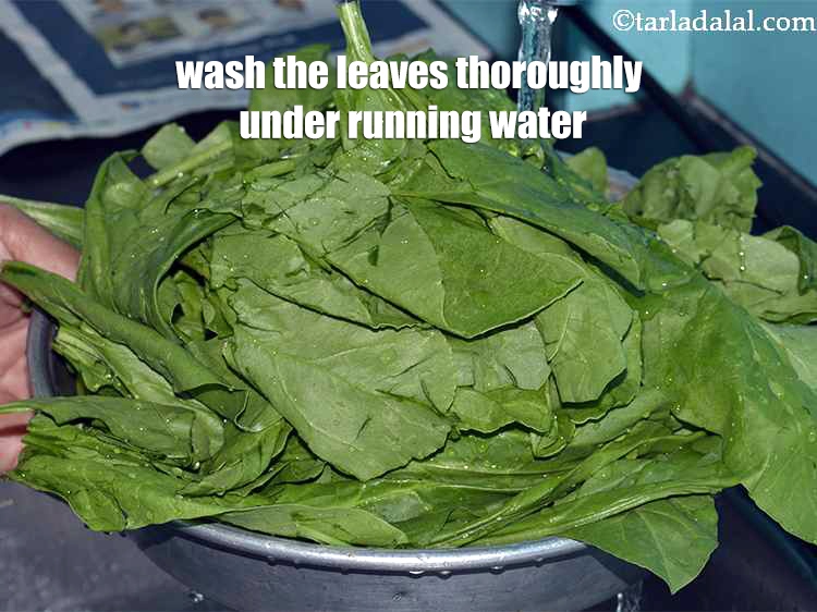 Step 5 – <meta charset="UTF-8" />Wash the leaves thoroughly under running water or in a bowl full of …