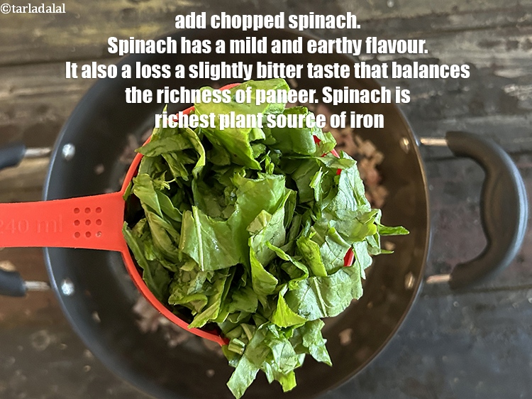 Step 22 – <meta charset="UTF-8" /> Add&nbsp;2 1/2 cups&nbsp;<a href="glossary-chopped-spinach-780i">chopped spinach (palak)</a>.&nbsp;Spinach has a mild, earthy flavor that …