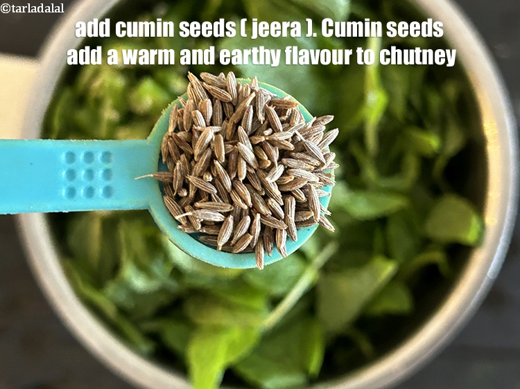 Step 16 – Add&nbsp;<meta charset="UTF-8" />1/2 tsp&nbsp;<a href="glossary-cumin-seeds-jeera-zeera-381i">cumin seeds (jeera)</a>.&nbsp;Cumin seeds add a warm, earthy flavor to mint …