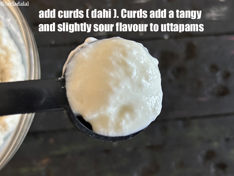 Step 6 – Add&nbsp;<meta charset="UTF-8" />5 tbsp&nbsp;<a href="glossary-curd-dahi-yogurt-yoghurt-383i">curds (dahi)</a>.&nbsp;Curd adds a tangy and slightly sour flavor to uttapam.&nbsp;Curd …