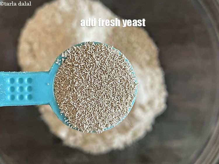स्टेप 6 – १/२ टी-स्पून&nbsp;<a href=""https://www.tarladalal.com/glossary-fresh-yeast-fresh-khameer-hindi-656i"">ताज़ा खमीर</a>&nbsp;डालें&nbsp;।