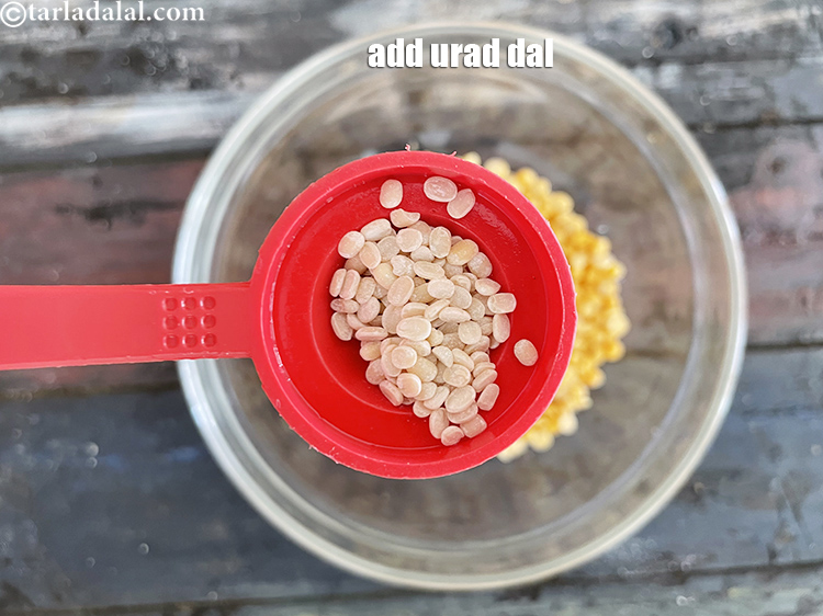 Step 6 – Add&nbsp;<meta charset="UTF-8" />1/2 tsp&nbsp;<a href="glossary-urad-dal-split-black-lentil-941i">urad dal (split black lentils)</a>.