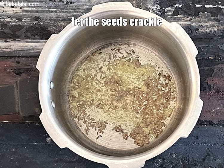 स्टेप 8 – बीज को चटकने दीजिये।