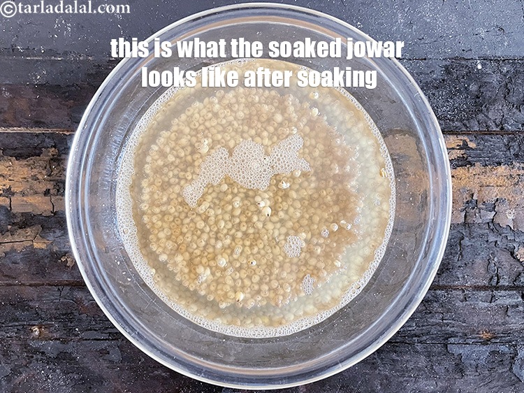 Step 6 – <meta charset="UTF-8" />This is what the soaked jowar looks like.&nbsp;