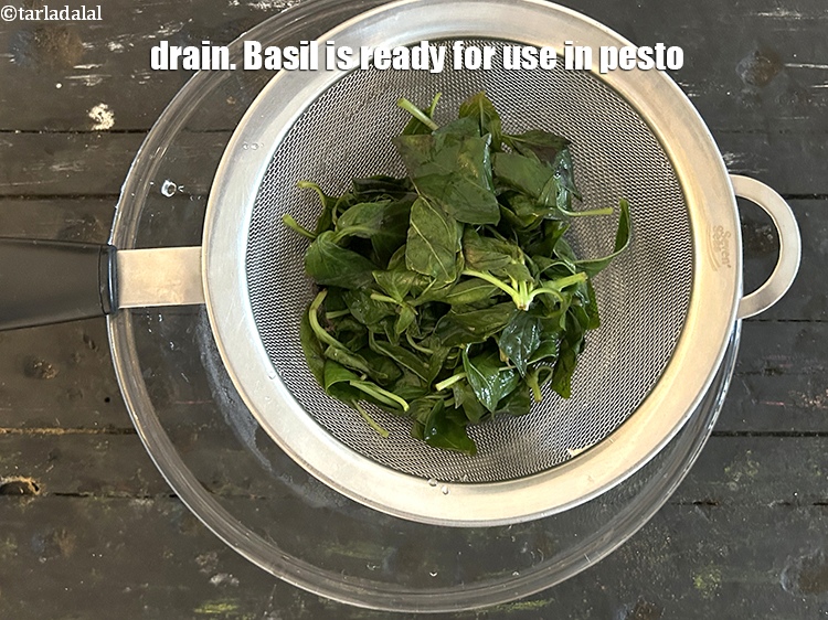 Step 8 – Drain. Basil is ready for use in pesto.&nbsp;