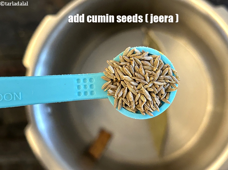 Step 15 – Add&nbsp;<meta charset="UTF-8" />1/2 tsp&nbsp;<a href="glossary-cumin-seeds-jeera-zeera-381i">cumin seeds (jeera)</a>.