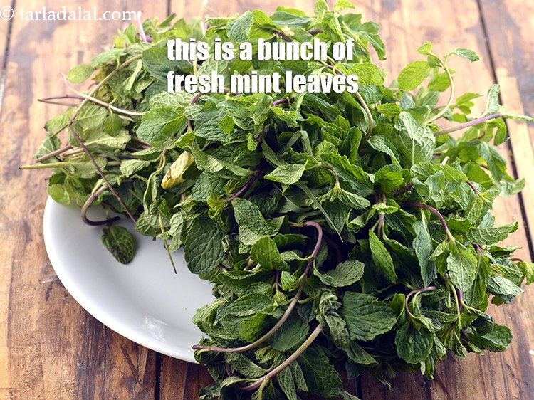 Step 7 – Take one fresh bunch of mint leaves. You will know the leaves are fresh when …