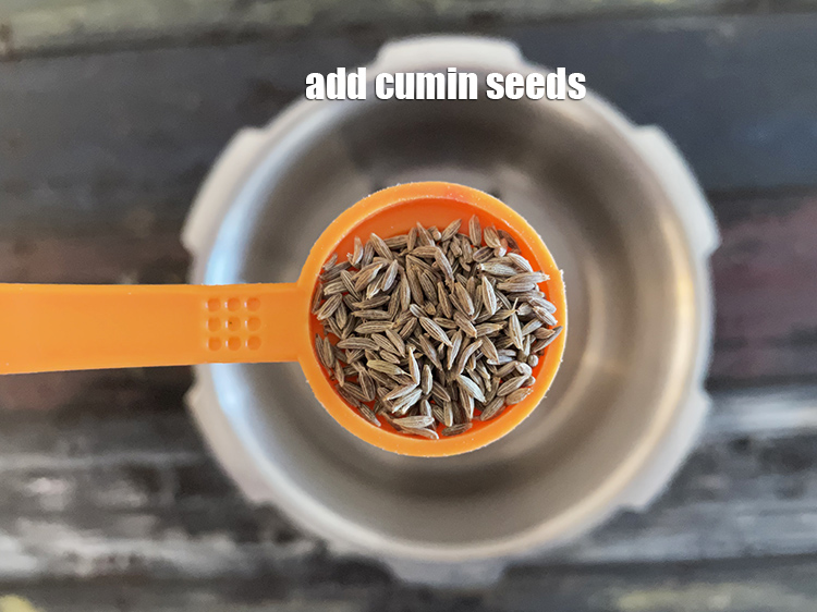 Step 23 – Add&nbsp;<meta charset="UTF-8" />1 tsp&nbsp;<a href="glossary-cumin-seeds-jeera-zeera-381i">cumin seeds (jeera)</a>.