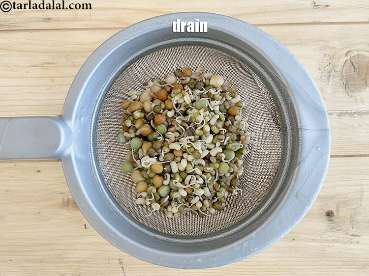 Step 11 – <meta charset="UTF-8" />Drain your mixed sprouts using a sieve.&nbsp;