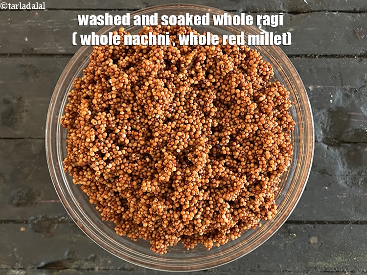 Step 8 – Washed and soaked whole ragi (whole nachni, whole red millet).