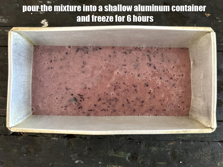 Step 10 – <p>Pour the mixture into a shallow aluminum container and freeze for 6 hours.</p>