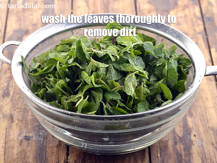 Step 9 – Wash the leaves thoroughly to remove any dirt and dust that might be on them.
