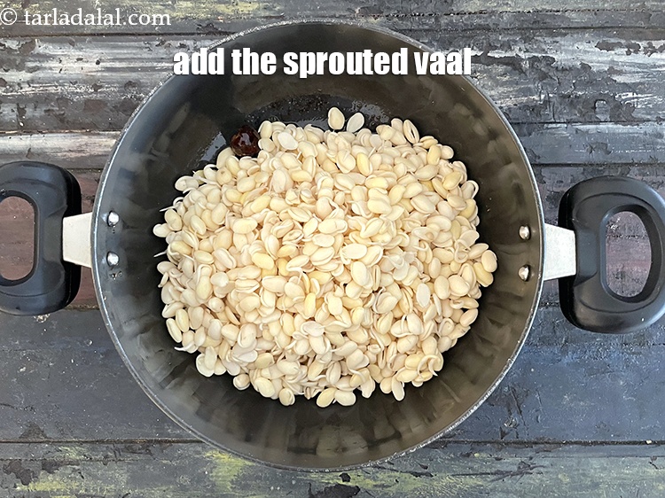 Step 25 – Add the sprouted vaal.