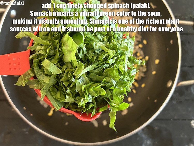 Step 26 – Add&nbsp;1 cup&nbsp;finely&nbsp;<a href="glossary-chopped-spinach-780i">chopped spinach (palak)</a>.&nbsp;Spinach imparts a vibrant green color to the soup,&nbsp;making it visually …