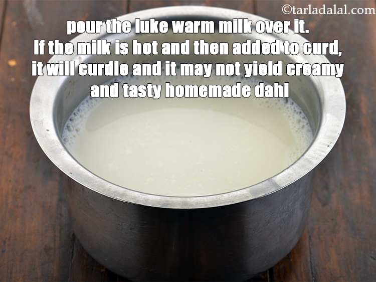 Step 26 – <meta charset="UTF-8" /> pour the luke warm milk over it. If the milk is hot …