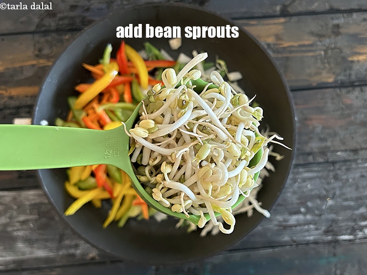 स्टेप 14 – १/२ कप&nbsp;<a href=""https://www.tarladalal.com/glossary-bean-sprouts-hindi-193i"">बीन स्प्राउट्स</a>&nbsp;डालें।