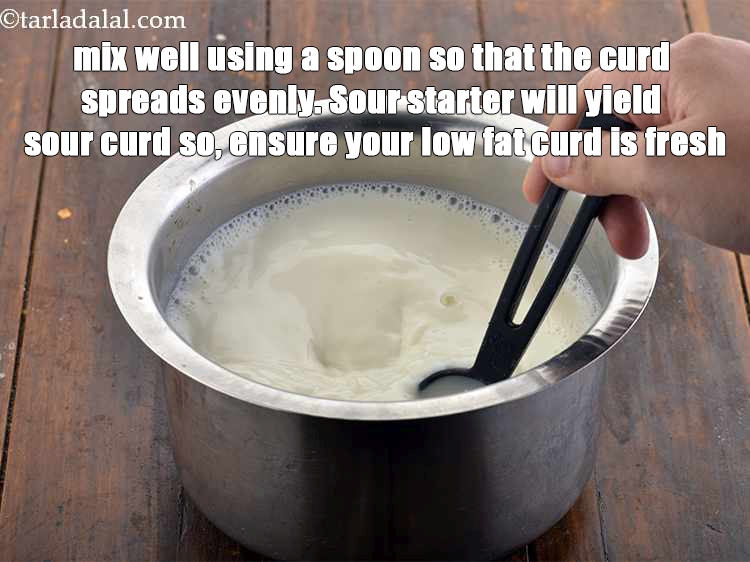 Step 9 – Mix well using a spoon so, that the curd spreads evenly. Sour starter will yield …