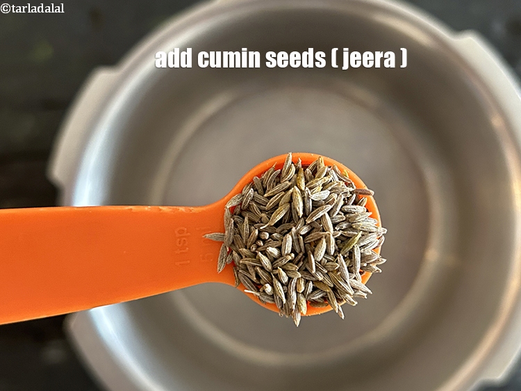Step 13 – <html><head></head><body><p>Add&nbsp;1 tsp&nbsp;<a href="glossary-cumin-seeds-jeera-zeera-381i">cumin seeds (jeera)</a>.</p></body></html>