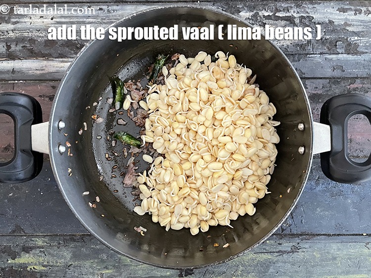 Step 27 – Add the sprouted vaal.