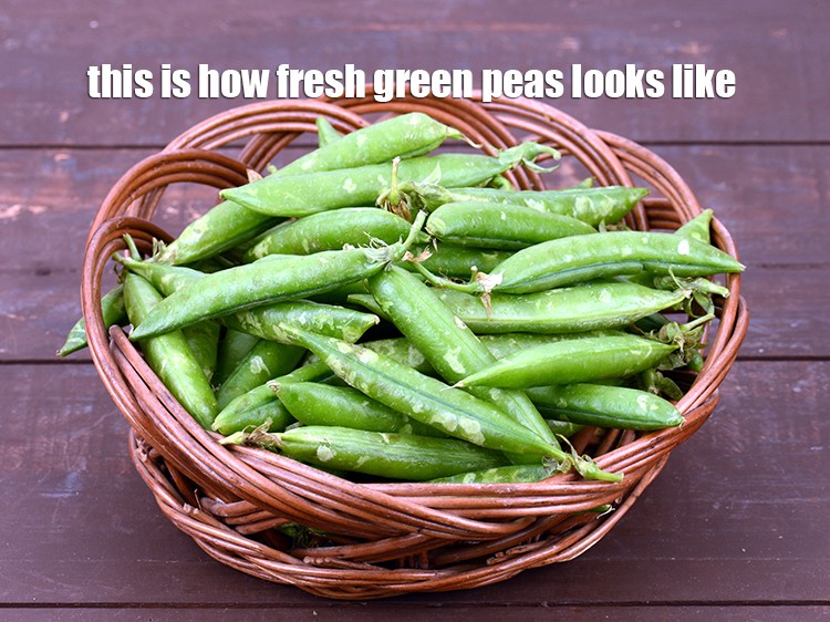 Step 4 – This is how fresh green peas looks like.