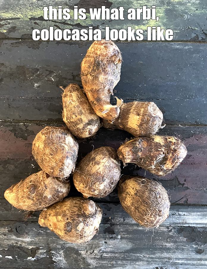Step 3 – This is what arbi, colocasia looks like.&nbsp;