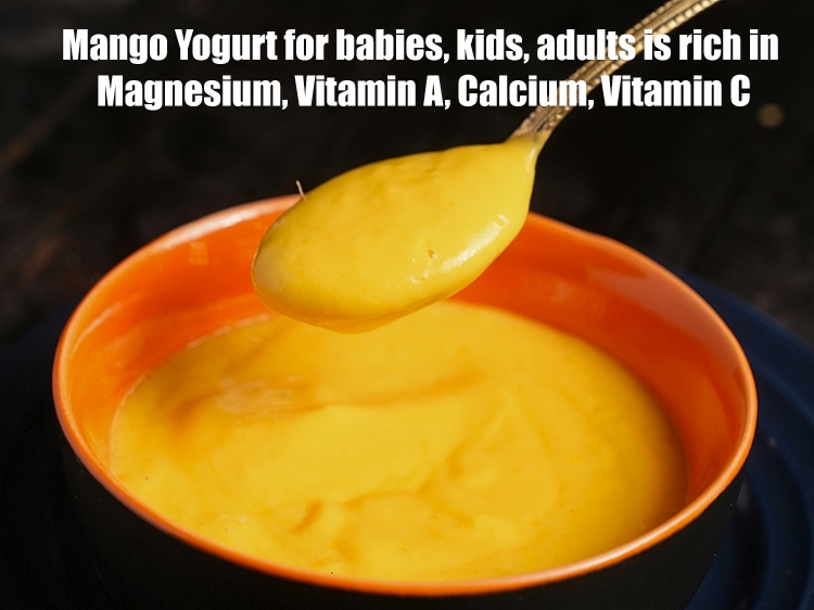Step 20 – <strong>Mango Yogurt for babies, kids, adults&nbsp;is rich in&nbsp;Magnesium, Vitamin A,&nbsp;Calcium, Vitamin C.</strong> <ol> <li><strong>Magnesium</strong>&nbsp;:&nbsp;<a href="https://www.tarladalal.com/recipes-for-Magnesium-Rich-Recipes-1101">Magnesium</a>&nbsp;is …