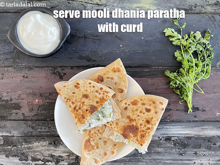 Step 47 – Serve&nbsp;mooli dhania paratha with curds to make a healthy Indian snack or breakfast.