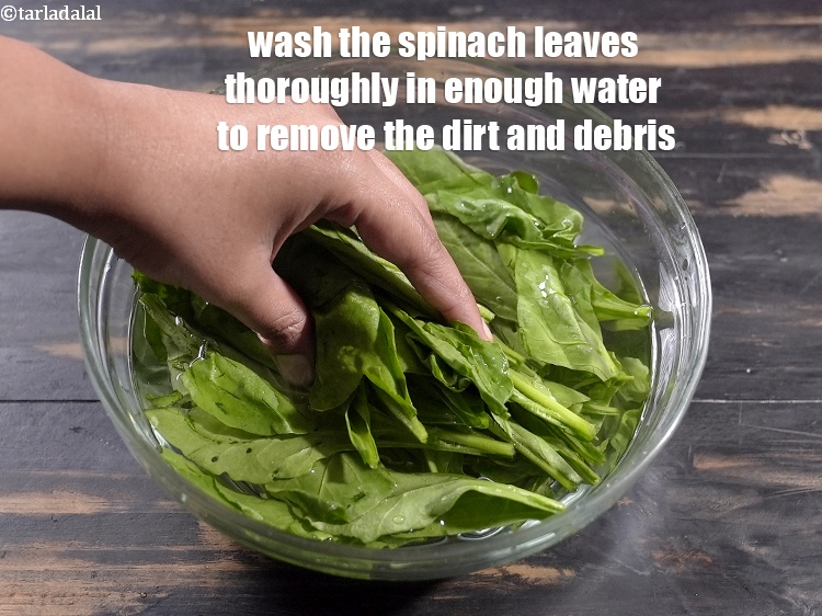 Step 13 – Wash the spinach leaves thoroughly in enough water to remove the dirt and debris.
