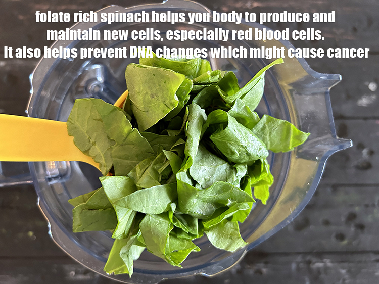 Step 14 – <meta charset="UTF-8" /> <a href="https://www.tarladalal.com/recipes-for-Vitamin-B9-Rich-Folate-1119">Folate or Vitamin B9</a>&nbsp;rich spinach helps your body to produce and …
