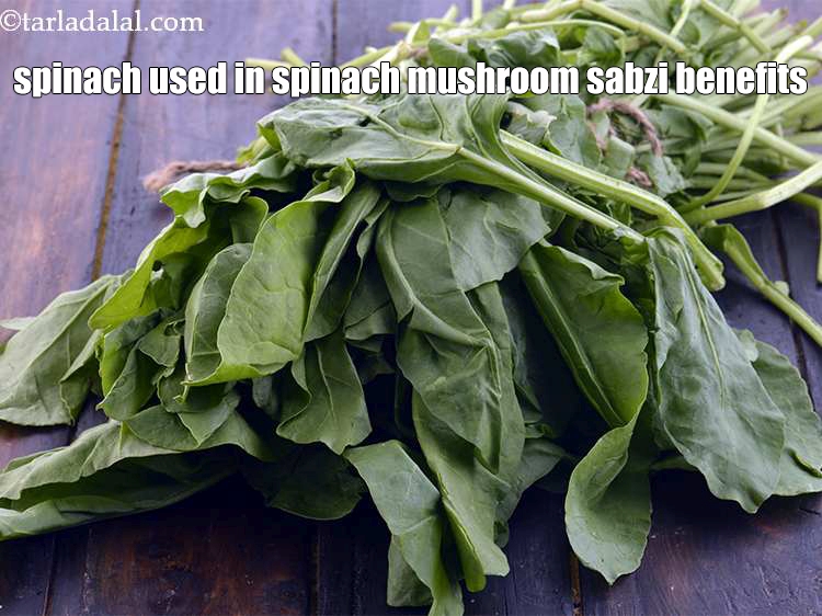 Step 35 – <strong>Spinach used in spinach mushroom sabzi benefits&nbsp;</strong>&nbsp;:&nbsp;<a href="https://www.tarladalal.com/recipes-using-spinach-255">Spinach</a>&nbsp;is one of the richest plant sources of&nbsp;<a …