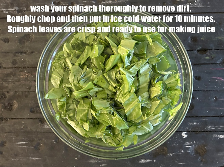 Step 18 – <strong>Wash your spinach thoroughly</strong> as this will help to remove any dirt or bacteria.&nbsp;Then roughly …