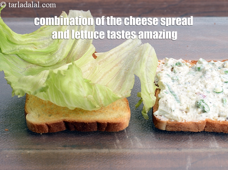 Step 21 – Combination of the cheese spread and lettuce tastes amazing.