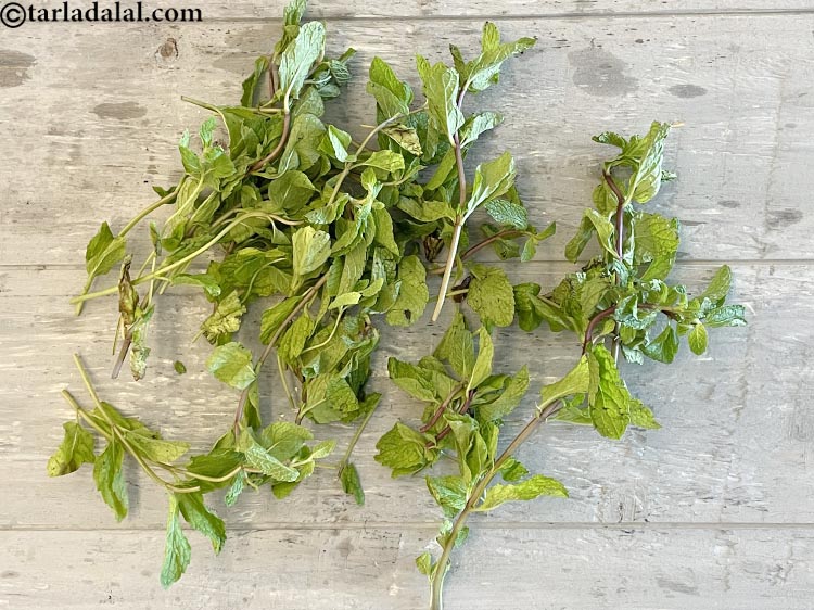 स्टेप 3 – यहाँ पुदीने की पत्तियां कुछ इस तरह दिखती है।