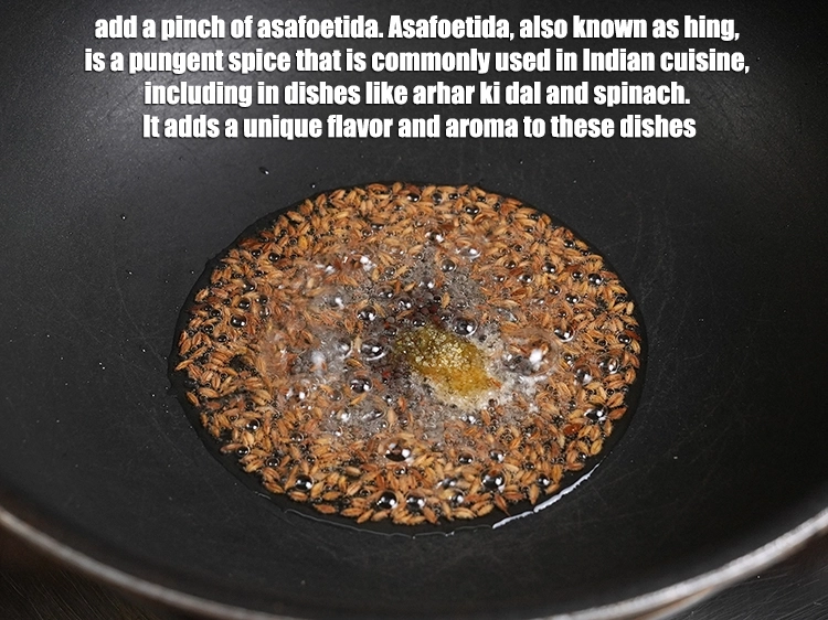 Step 13 – <p>Add a pinch of <a href="https://www.tarladalal.com/glossary-asafoetida-hing-113i">asafoetida (hing)</a>. Asafoetida, also known as hing, is a pungent …