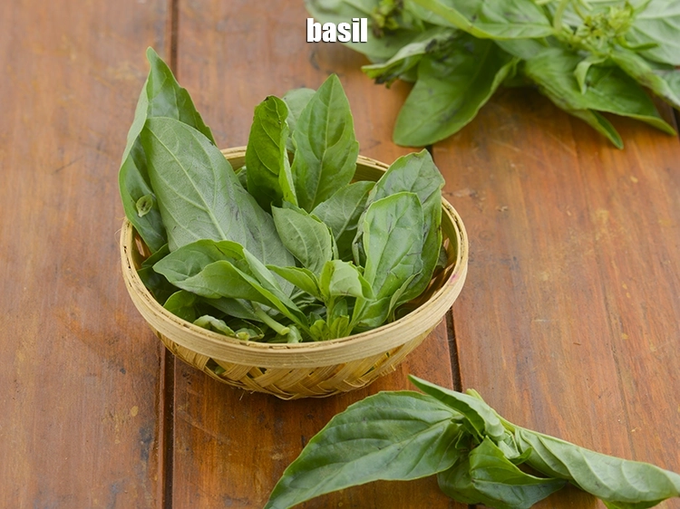 Step 32 – <p>Coriander and mint leaves can be replaced with basil for a refreshing flavour.</p>