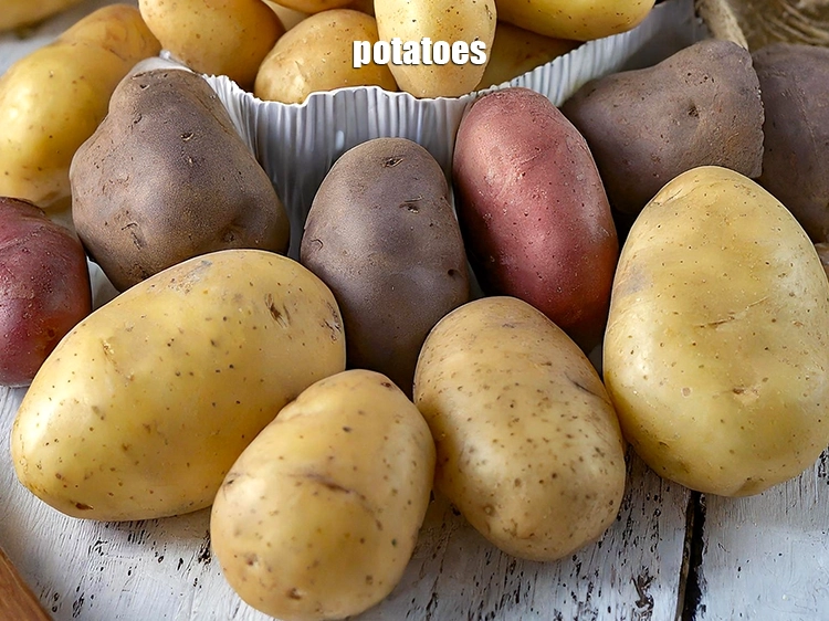 Step 8 – <p>Since new potatoes are harvested before they are fully mature, they are much more susceptible …
