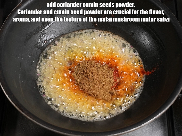 Step 22 – <p>Add 2 tsp coriander cumin seeds powder. Coriander and cumin seed powder are crucial for …