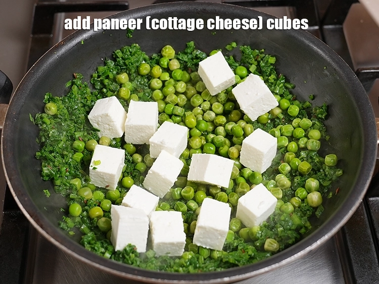 Step 41 – <p>Add 1 cup&nbsp;<a href="https://www.tarladalal.com/glossary-paneer-cubes-cottage-cheese-cubes-1002i">paneer (cottage cheese) cubes</a>. See above how to make paneer.&nbsp;</p>