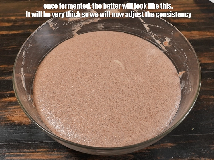 Step 13 – <p>Once fermented, the batter will look like this. It will be very thick so we …