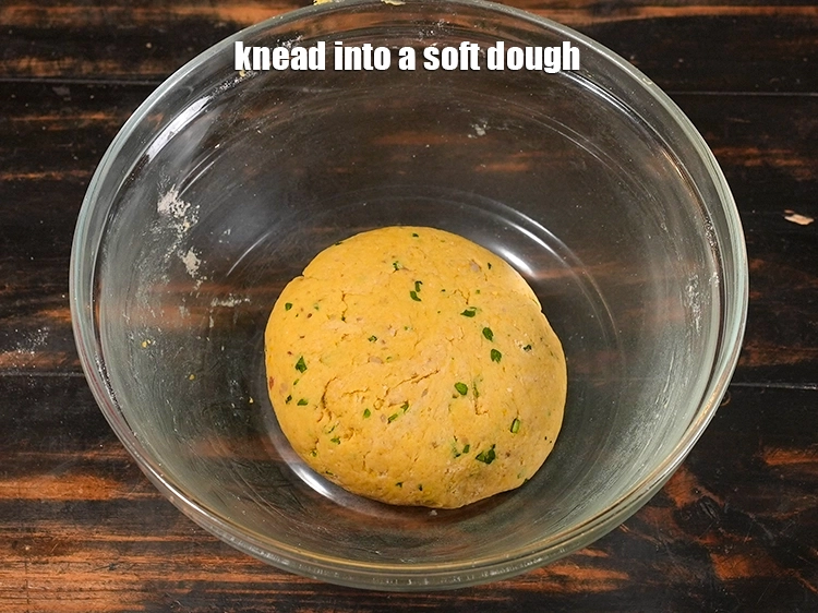 Step 10 – <p><span style="background-color:rgb(255,255,255);color:rgb(0,0,0);">Mix well. Knead into a soft dough.</span></p>