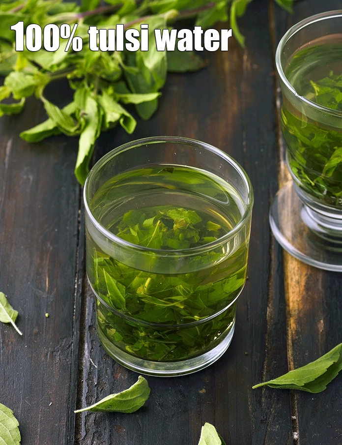 Step 11 – <p>Serve&nbsp;<strong>Tulsi water (Holy Basil Water)</strong>&nbsp;warm or cool.</p>