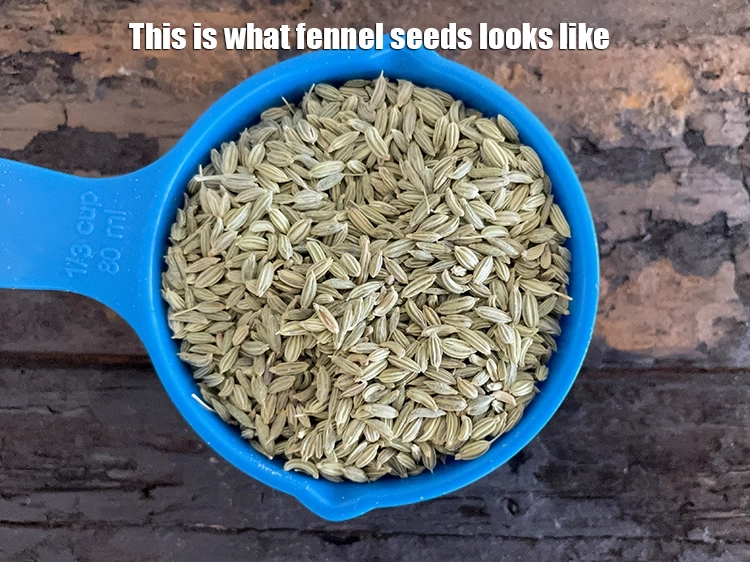 Step 2 – <html><head></head><body><p>This is what fennel seeds looks like.&nbsp;Fennel seeds scientifically named as&nbsp;<i>Foeniculum vulgare</i>&nbsp;is an aromatic herb …