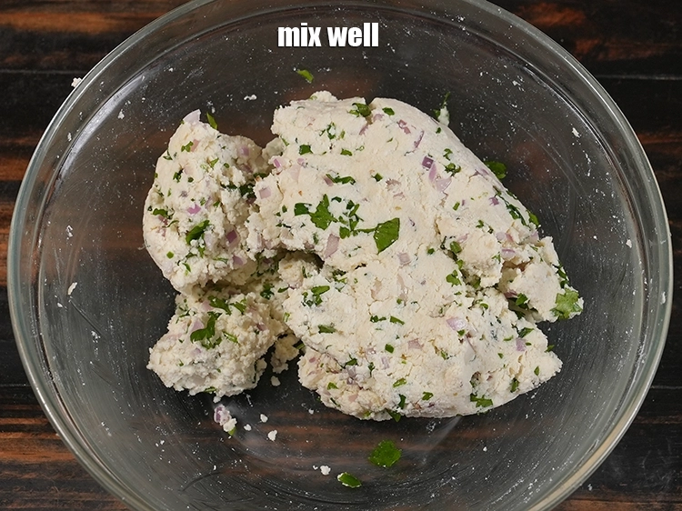 Step 10 – <p><span style="background-color:rgb(255,255,255);color:rgb(0,0,0);">Mix well.</span></p>