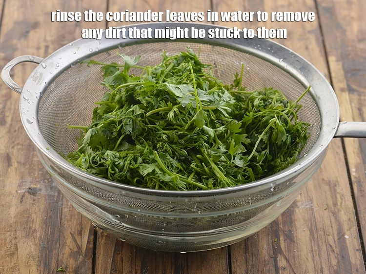 Step 17 – <p>Rinse the coriander leaves in water to remove any dirt that might be stuck to …