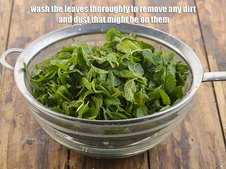 Step 13 – <p>Wash the leaves thoroughly to remove any dirt and dust that might be on them.</p>