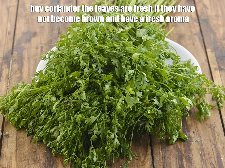 Step 15 – <p>Now you need coriander. Buy the leaves are fresh if they have not become brown …