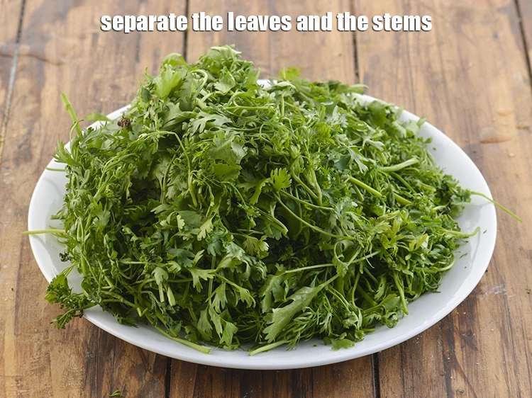 Step 16 – <p>Separate the leaves and the stems. We are only going to use the leaves and …