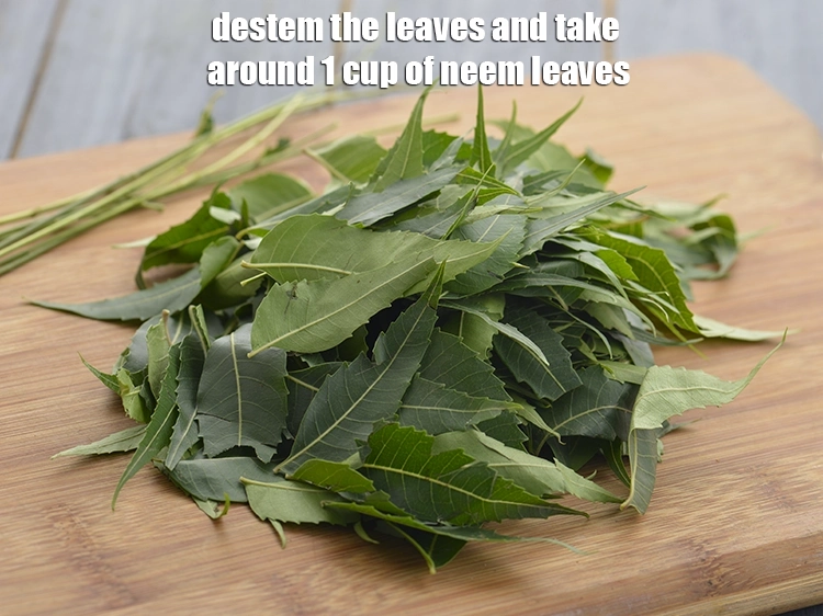 Step 11 – <p>Destem the leaves and take around 1 cup of neem leaves to make <strong>Neem Juice</strong>.&nbsp;</p>