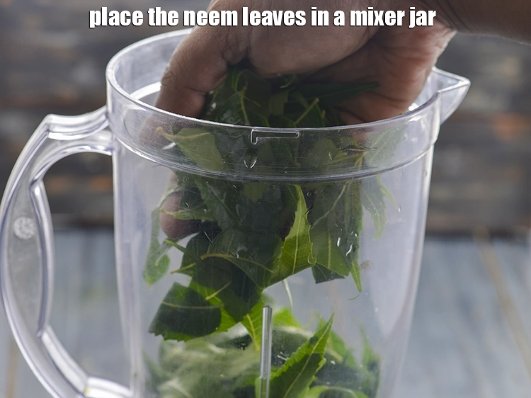 Step 14 – <p>Place the neem leaves in a mixer jar to make <strong>Neem Juice</strong>.&nbsp;</p>