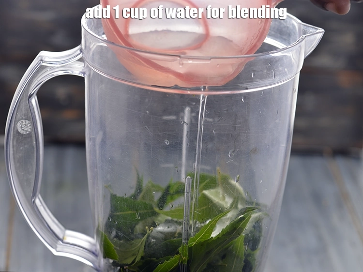 Step 15 – <p>Add equal quantity of water. Add 1 cup of water for blending.&nbsp;</p>